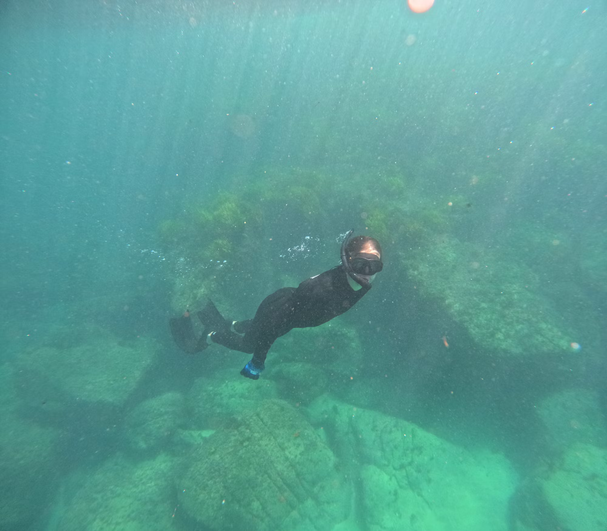 Diving into Adventure: Exploring the World Beneath the Waves