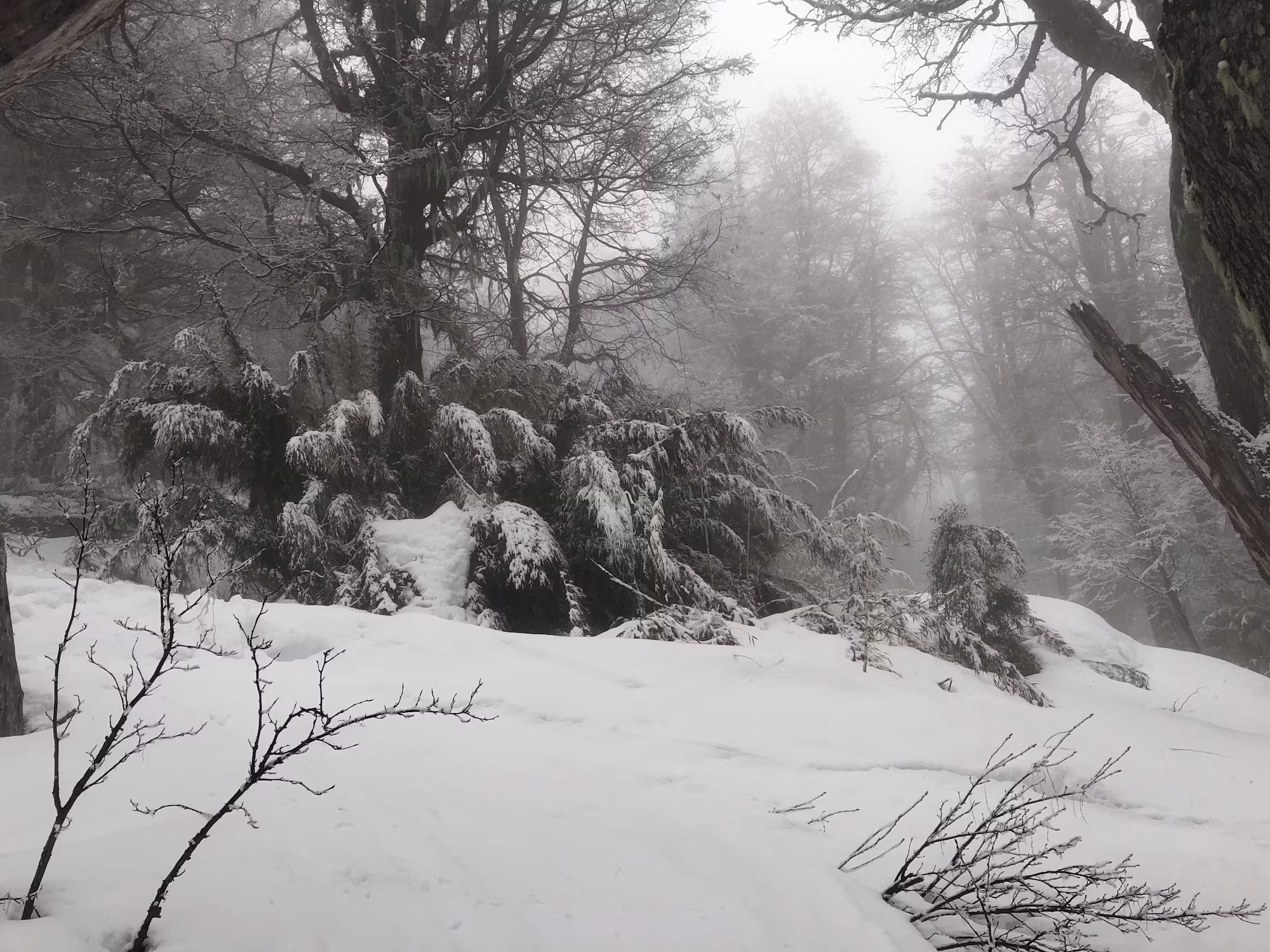Exploring the Thrills of Backcountry Snowboarding